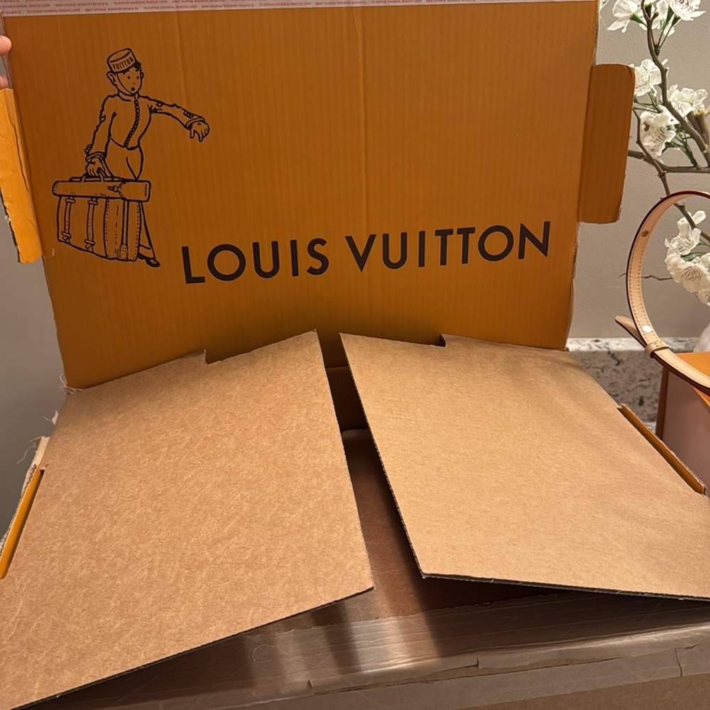 Louis Vuitton x Murakami Venice Backpack 2025 - Picture 16 of 16